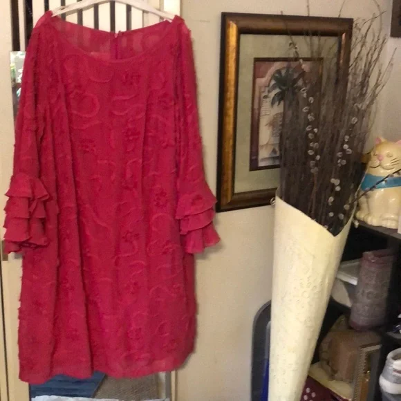 Beautiful Dress Cerise Color with Ornamental Accents and Ruffled Sleeves. - Picture 4 of 9